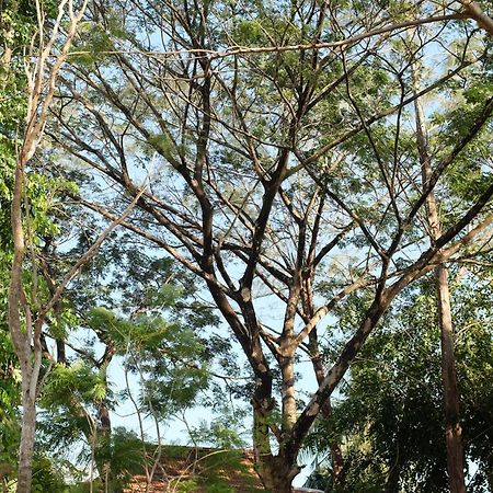 Rumah Jah Langkawi بانتايْ تْشينانغ المظهر الخارجي الصورة